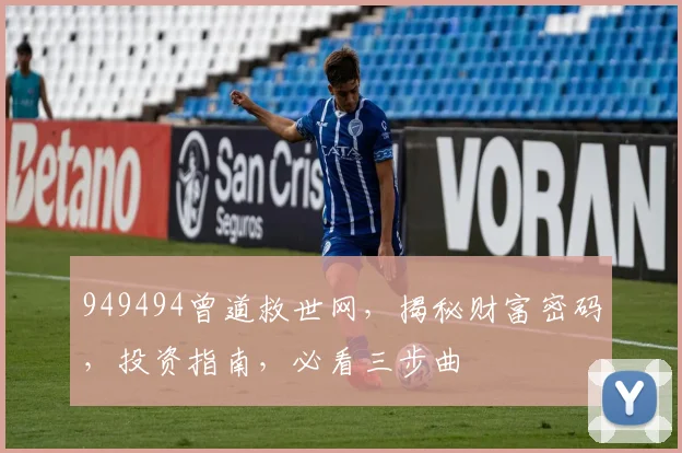 949494曾道救世网，揭秘财富密码，投资指南，必看三步曲
