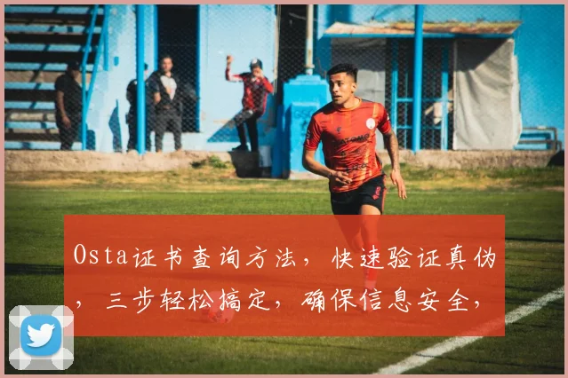 Osta证书查询方法，快速验证真伪，三步轻松搞定，确保信息安全，