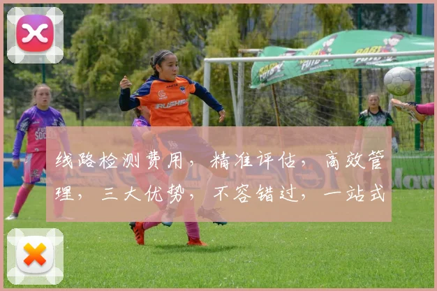 线路检测费用，精准评估，高效管理，三大优势，不容错过，一站式解决方案