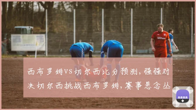 西布罗姆vs切尔西比分预测,强强对决切尔西挑战西布罗姆,赛事悬念丛生,