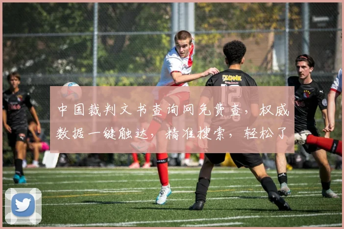 中国裁判文书查询网免费查，权威数据一键触达，精准搜索，轻松了解，三步到位