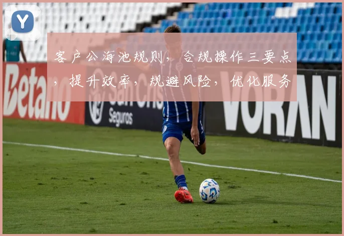 客户公海池规则，合规操作三要点，提升效率，规避风险，优化服务体验，助力企业发展。